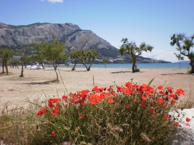 Apartment Danka Omiš Esterno foto